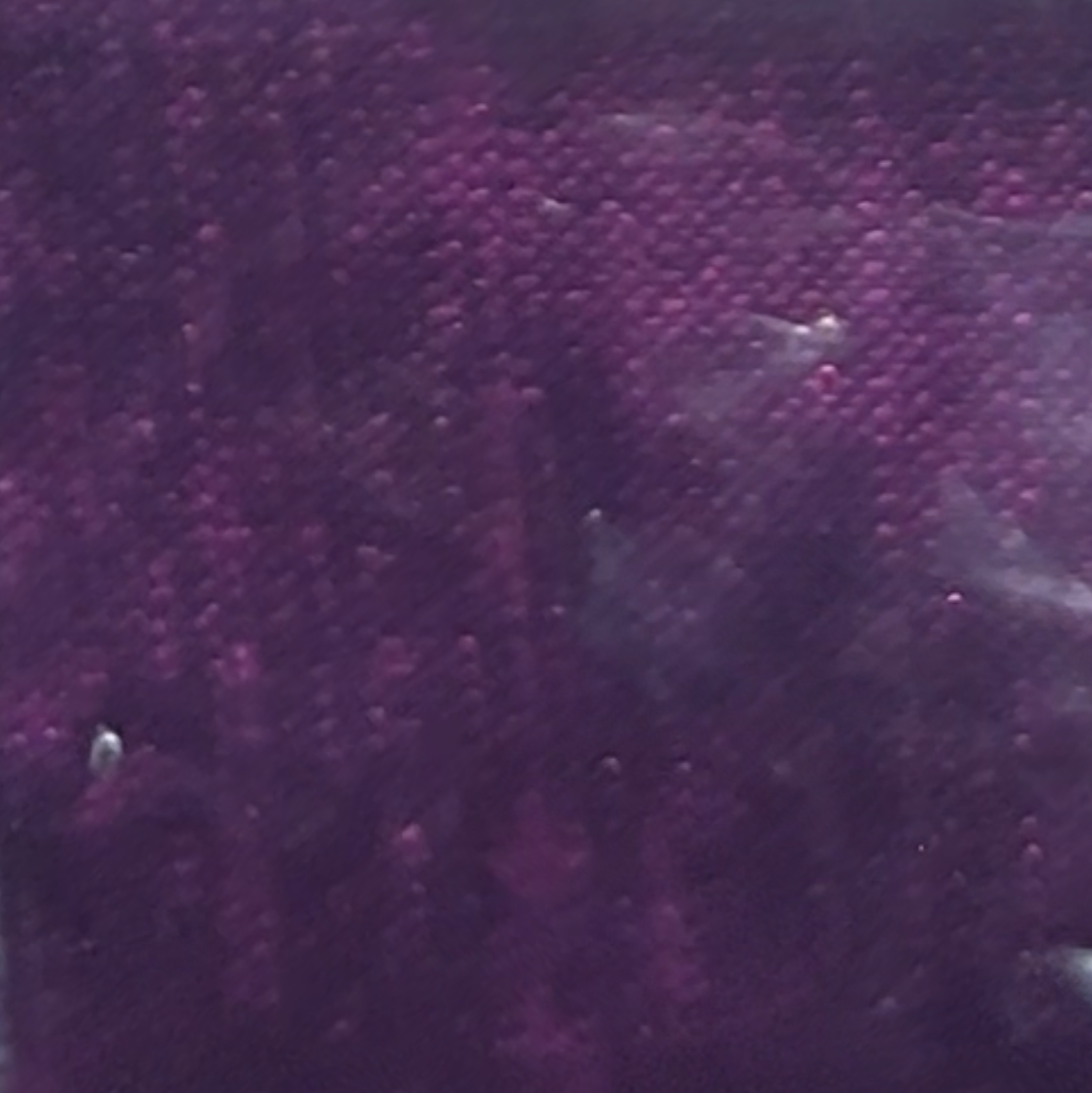 CONDICI 90222 LINGONBERRY